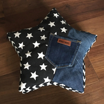   lizz様オーダー専用ページ★　星形クッション　『DENISTAR』　 MINI   ✖︎2