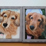オーダー愛犬の写真立て  羊毛フェルト