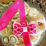 トイストラップ