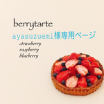 ayasuzuemi様専用ページ
