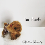 ☆Atelier Lovely☆トイプードル☆