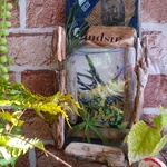 ボタニカルな暮らしに　流木の壁掛けフォトフレーム