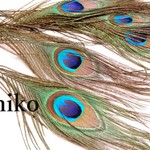 クジャクの羽☆彡天然素材 4枚set