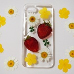 iPhone5/5sケース*001