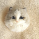 羊毛フェルト 猫 手付 ブローチ 大