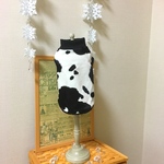 U／Shiho《Sサイズ現品限り》牛柄のあったかタンクトップ犬服