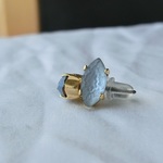 氷に咲く花のピアス