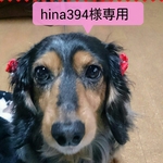 ☆hina394様専用☆バレッタ