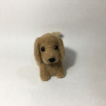 ふせダックス