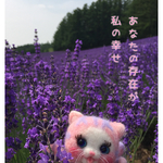 No.18 あなたの存在が私の幸せ🌷ポストカード🌷(2枚セット)