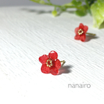 【再再…販】押し花のピアス/イヤリング