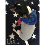 ペイズリーフード