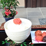 200円引き!!　ご家庭用チョコット訳あり!!　本場　紀州南高梅ちかちゃんのほっぺ　500グラム        