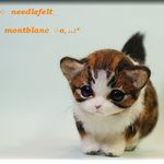 羊毛フェルト　猫　ころころ短足な子猫　ネコ