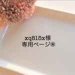xq815x様専用ページ