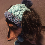 犬用ニット帽