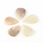 イチオシ☆10個Drop Shell Charms　人魚のうろこ　13㎜　人気　ドロップ　シェルチャーム　天然シェル　シェルビーズ