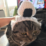 再販！猫用帽子 おにぎり