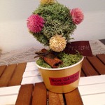 【お気に入り500THANKS企画】mini tree♡ponpon