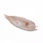 sample no.510