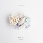 barrette " from sea " 0719