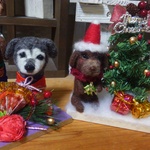＊v_v.ykr. 様　オーダー商品　2匹のワンちゃんクリスマス他　全2点＊