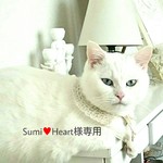 Sumi♥Heart様専用ページ    クリスマスベルのファーイヤリング