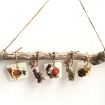 楽しく飾るドライフラワー8