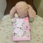 薔薇のカードいれ♡トールペイント