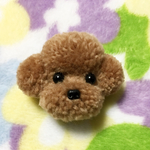 動物ぽんぽん トイプードルブローチ