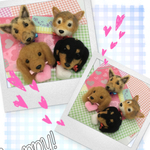 ayayako様 犬 わんこ羊毛フェルトストラップ