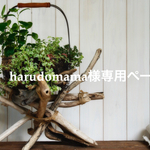 harudomama様専用ページ