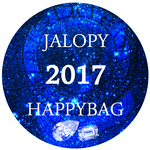 2017年福袋 星歯車ヘアアクセサリーセット