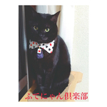 トランプ柄襟付き猫ちゃんの首輪