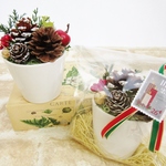 小さな木の実のクリスマスアレンジ