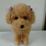 もふもふプードル(子犬)