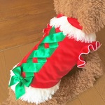サンタコスプレ