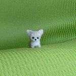 ちびちびチワワ クリーム&ホワイト パピー羊毛フェルト