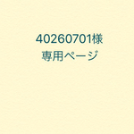 雪の結晶*ネイルチップ