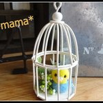 ＊鳥かごのインコちゃん＊