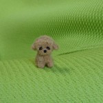 ちびちびトイプードル アプリコット  羊毛フェルト