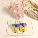 ビオラピアス
