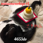 natsumenohige様ご予約品