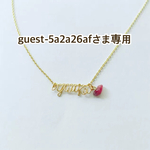 guest-5a2a26afさま専用
