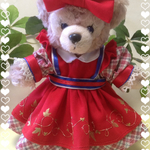 ♪ベリーちゃん風🍓ぬいばサイズコスチューム