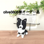 ★ olive3808様オーダー品 ボーダーコリー わんちゃん ★