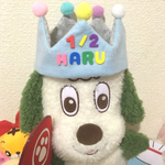 名前入りリバーシブルバースデー王冠