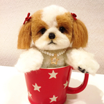 カップ in シーズー