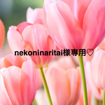nekoninaritai様専用♡