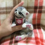 おねがいにゃんこNo.158